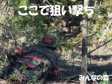 �T�o�Q�[�قӂ��O�i