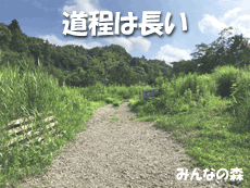 �T�o�Q�[�t���b�O��