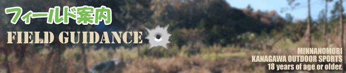 �݂�Ȃ̐X�t�B�[���h�ē�