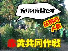 ��̎��Ԃł�