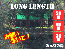 �����O�V���[�e�B���O�����W