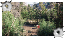 �t�B�[���h�}�b�v