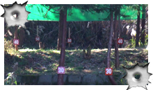 �V���[�e�B���O�����W